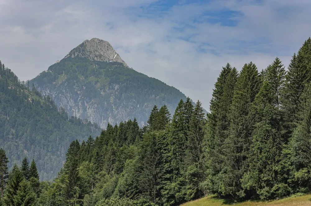 KITZIMMO-Pension Apartmenthaus kaufen - Immobilien Kötschach Mauthen Kärnten.