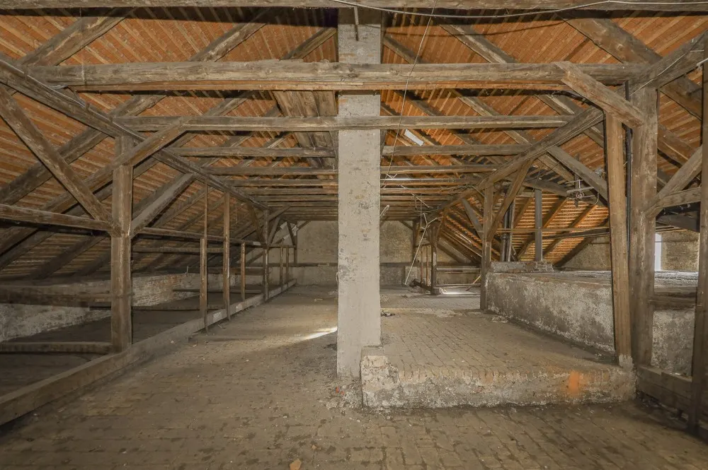 stadthausintoplagekaufenkitzimmointernationalgrazhauskaufen-41