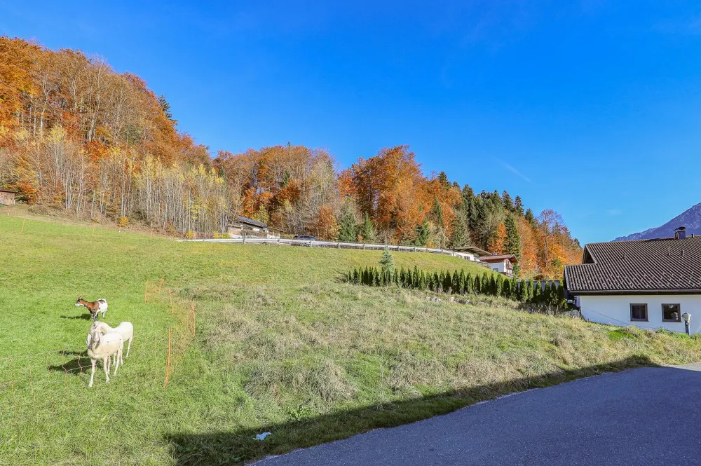 KITZIMMO-Baugrundstück mit traumhaftem Ausblick kaufen - Immobilien Kufstein.