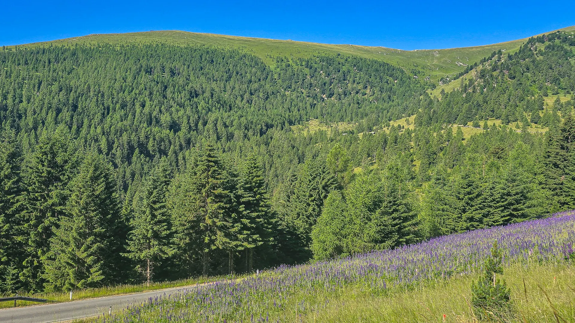 sommerfotosfalkertseetoplagekaufenkitzimmo-3