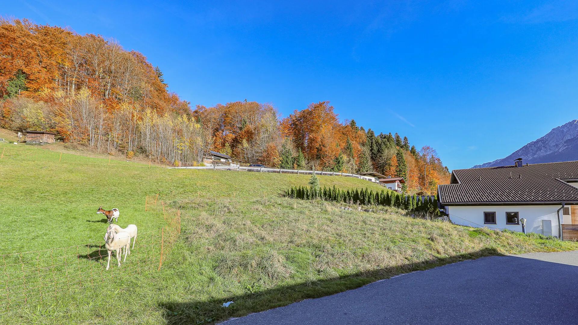KITZIMMO-Baugrundstück mit traumhaftem Ausblick kaufen - Immobilien Kufstein.