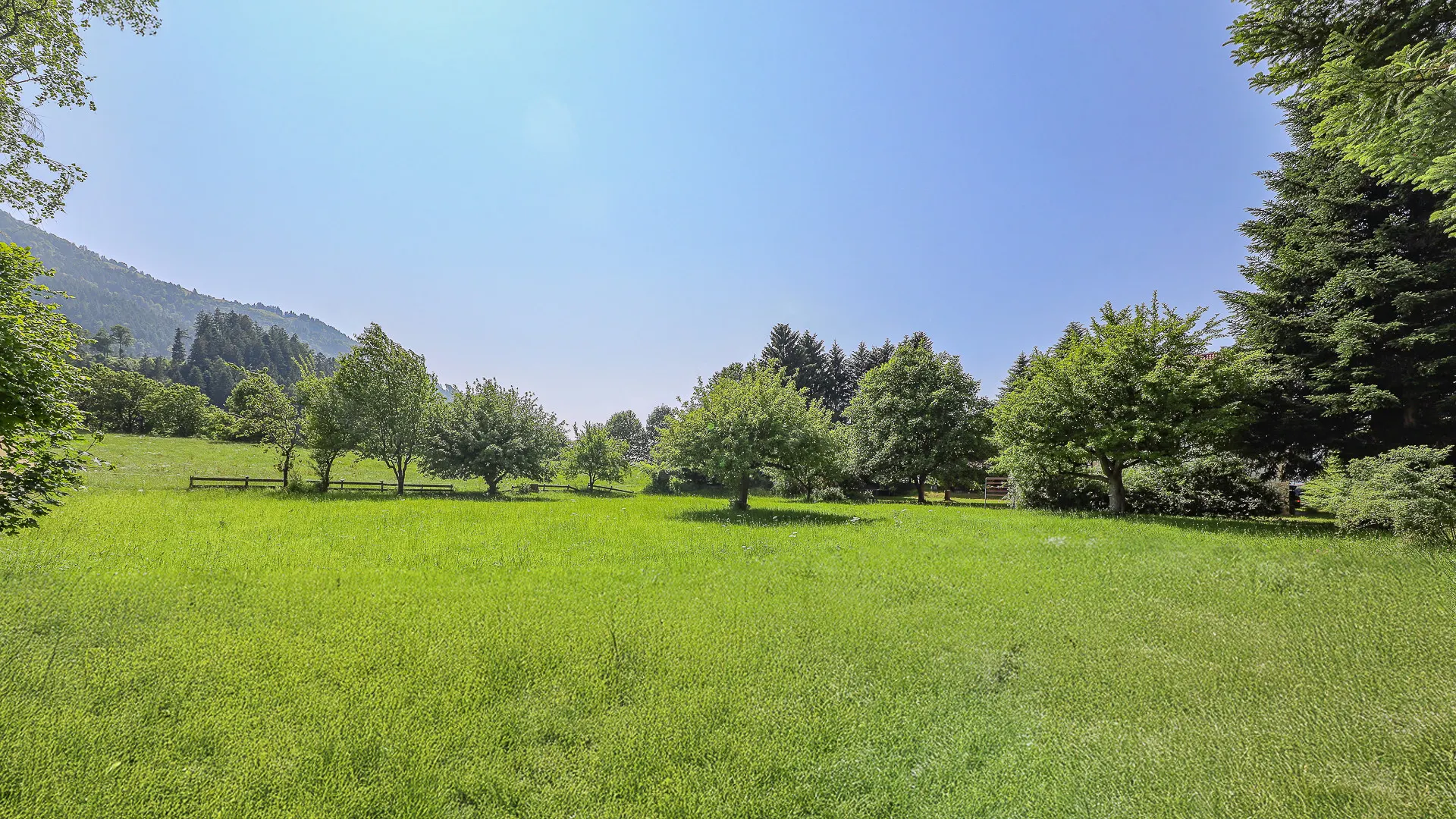 KITZIMMO-Altbestand in idyllischer Lage mit 1.500 m² Grund kaufen - Immobilien Wörgl.