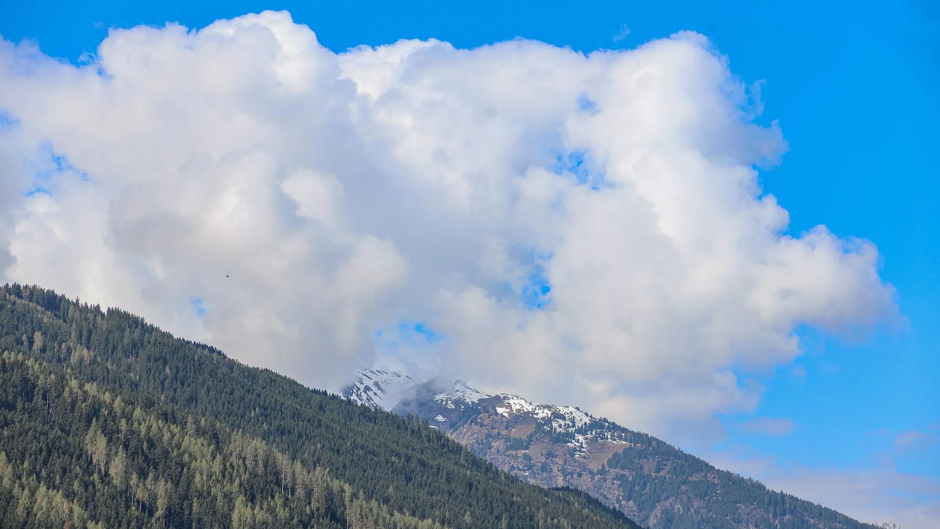 KITZIMMO-Landhaus mit Bergblick in zentrumsnaher Ruhelage - Immobilien Mittersill.