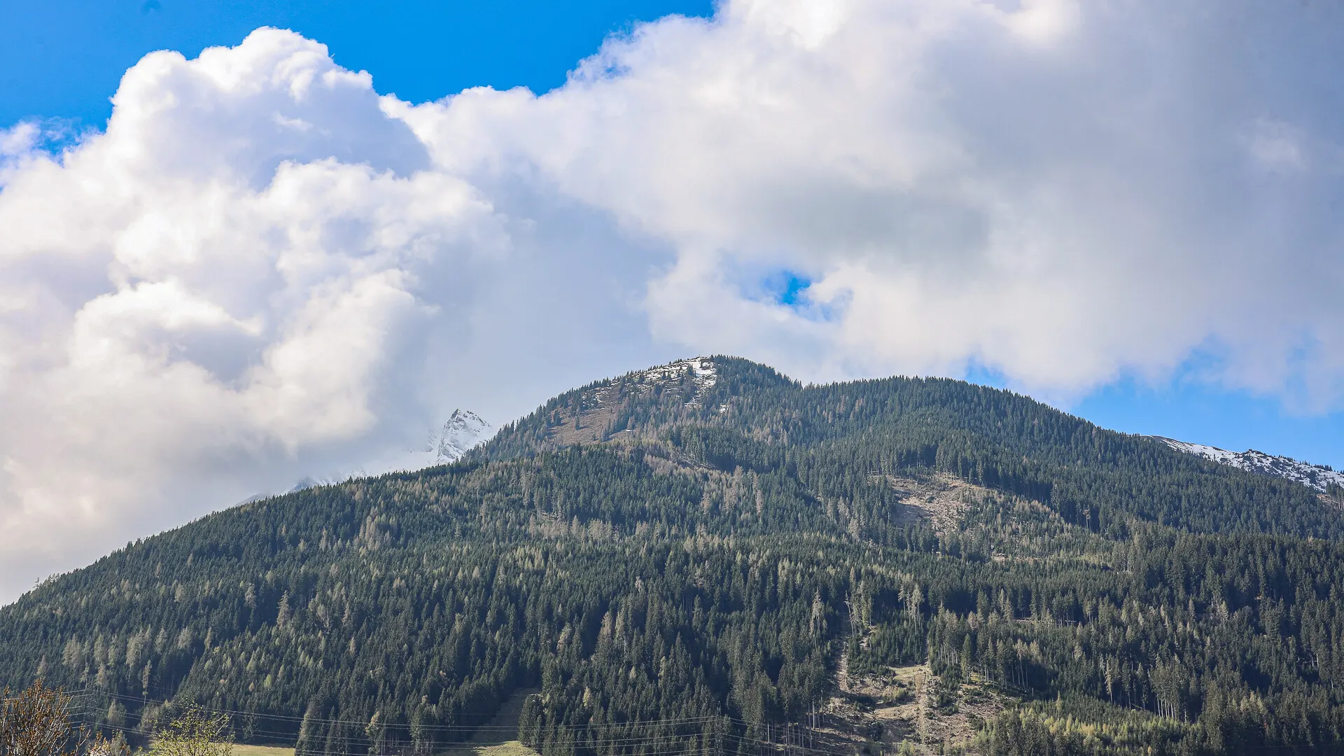 KITZIMMO-Landhaus mit Bergblick in zentrumsnaher Ruhelage - Immobilien Mittersill.