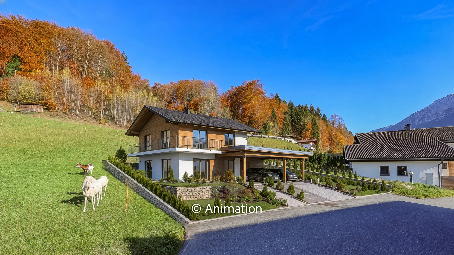 KITZIMMO-Baugrundstück mit traumhaftem Ausblick kaufen - Immobilien Kufstein.